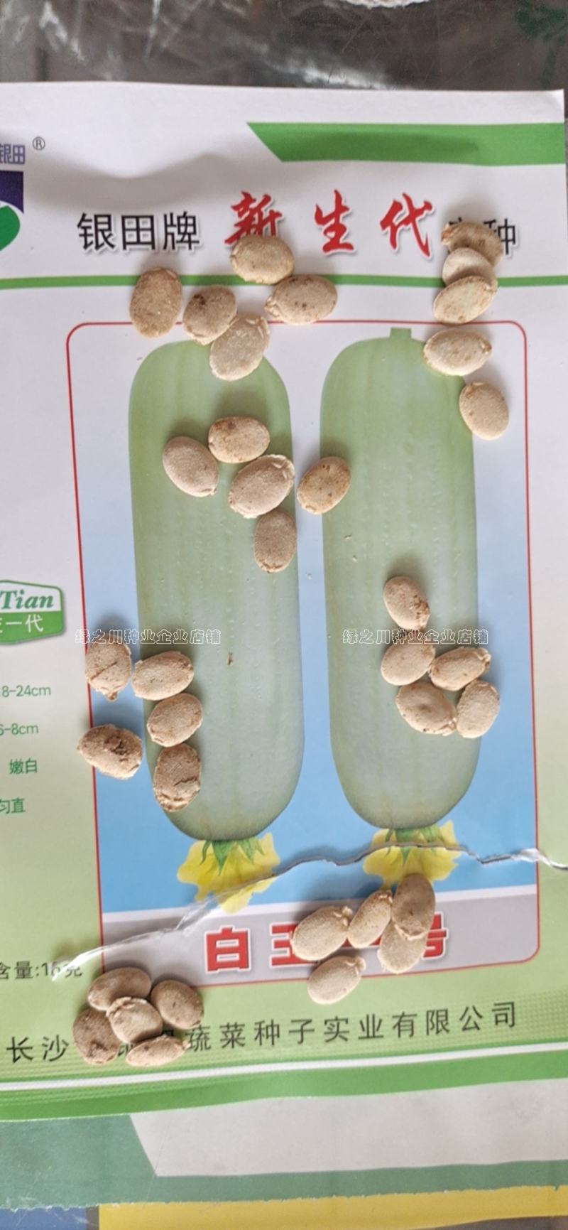 有瓜香味微甜白丝瓜种籽白玉一号丝瓜种子短棒型水瓜种子