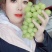 贝达根，夏黑根，5bb，3309根嫁接阳光玫瑰