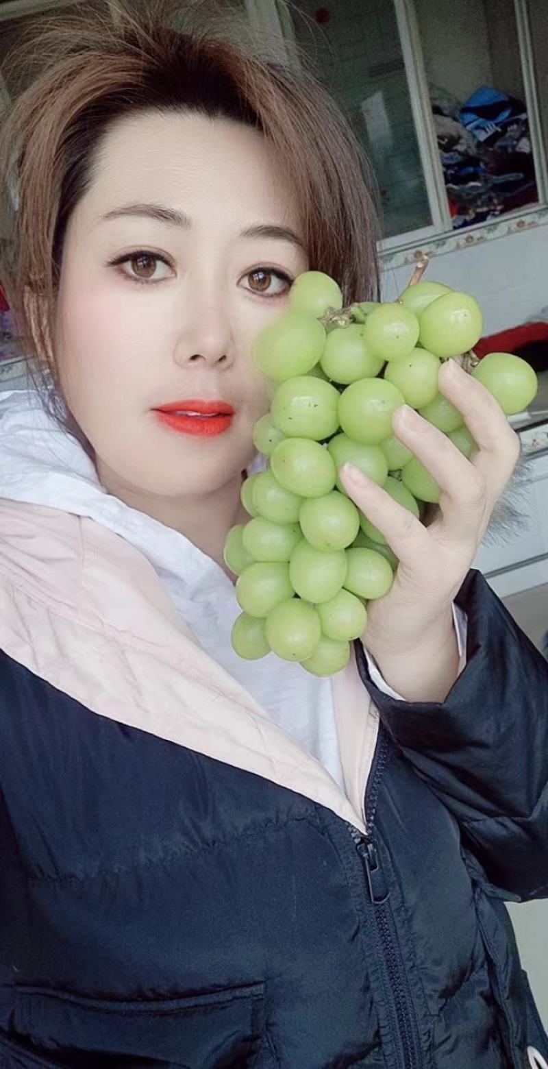 贝达根，夏黑根，5bb，3309根嫁接阳光玫瑰