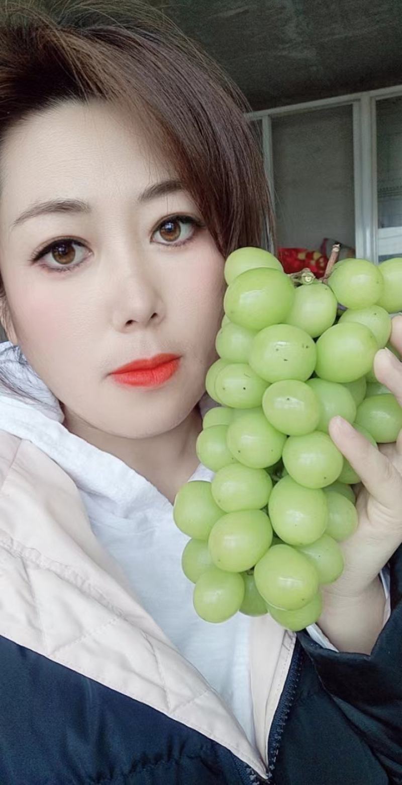 贝达根，夏黑根，5bb，3309根嫁接阳光玫瑰