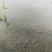 水产养殖用地