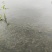 土地出租