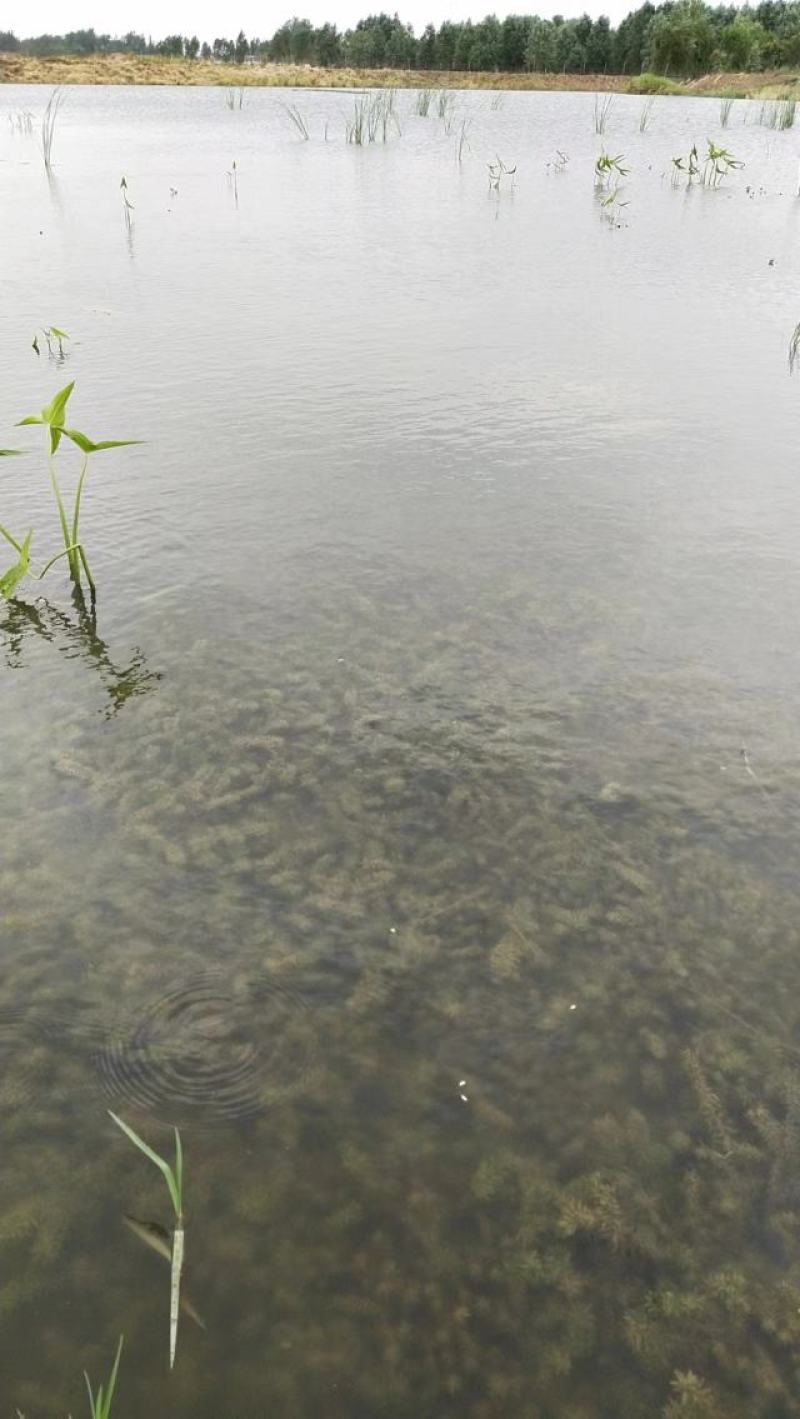 土地出租