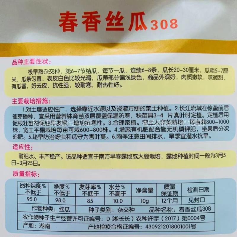 春香丝瓜308杂交一代白丝瓜种子特早熟瓜香味浓微甜肉丝瓜