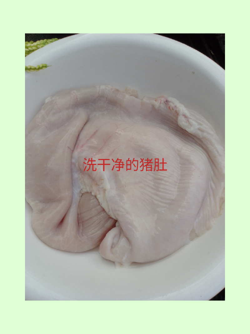 海南现采槟榔花苞（新鲜）