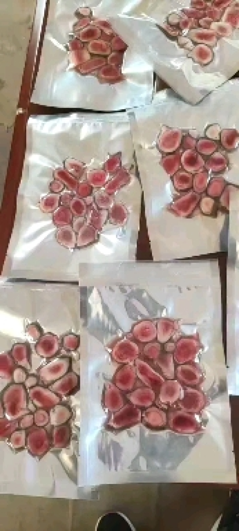 梅花鹿苗亲人梅花鹿宠物鹿成年梅花鹿小鹿鹿苗全国包邮