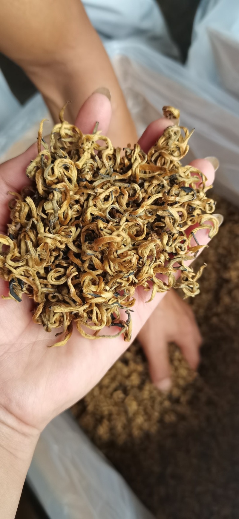 云南滇红凤庆名茶金锣大金针烤红等各种规格欢迎咨询