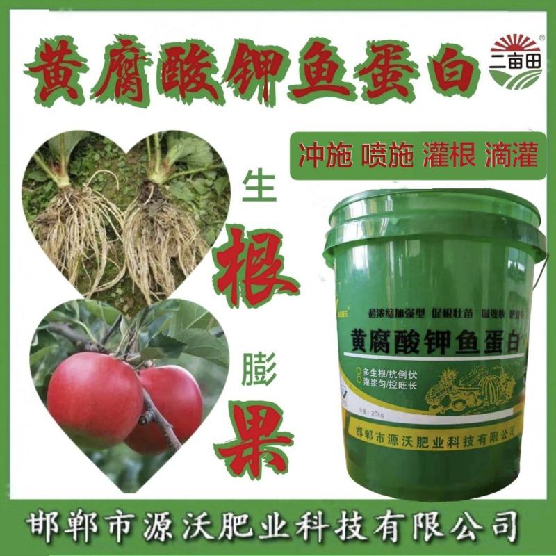黄腐酸钾鱼蛋白水溶肥，改良土壤，粗根壮苗
