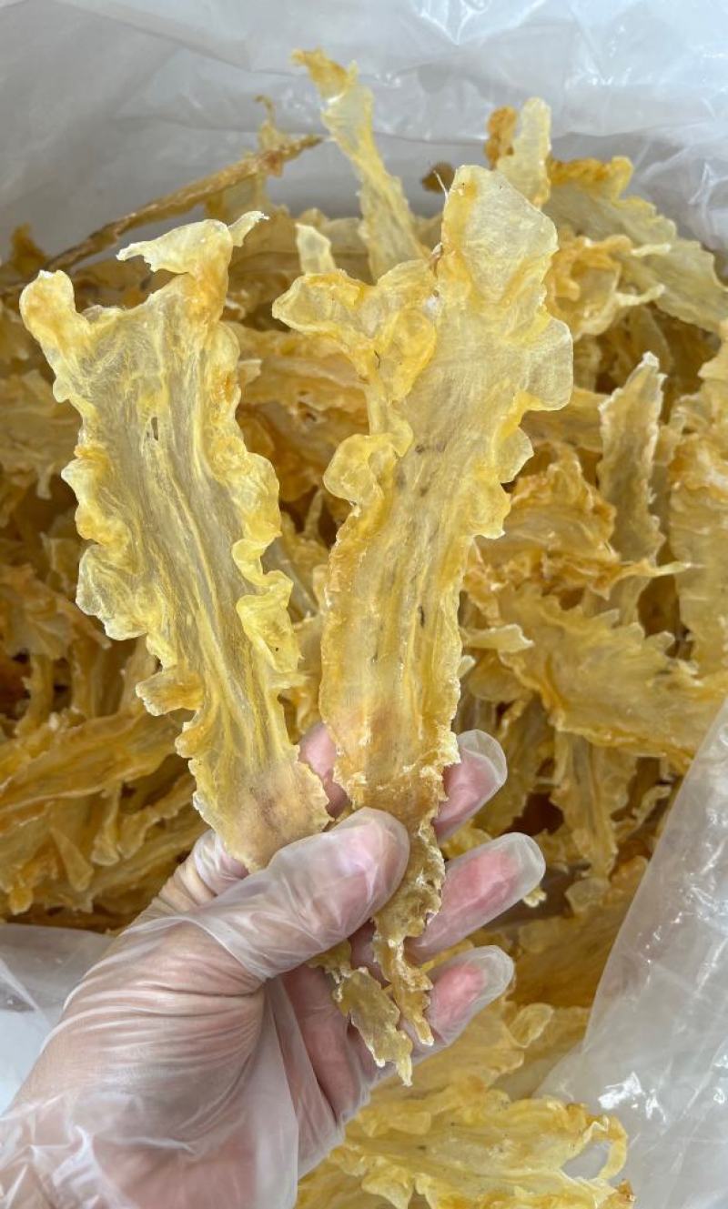 精品鳕鱼胶，足干货，食疗功效高，含有丰富的蛋白质