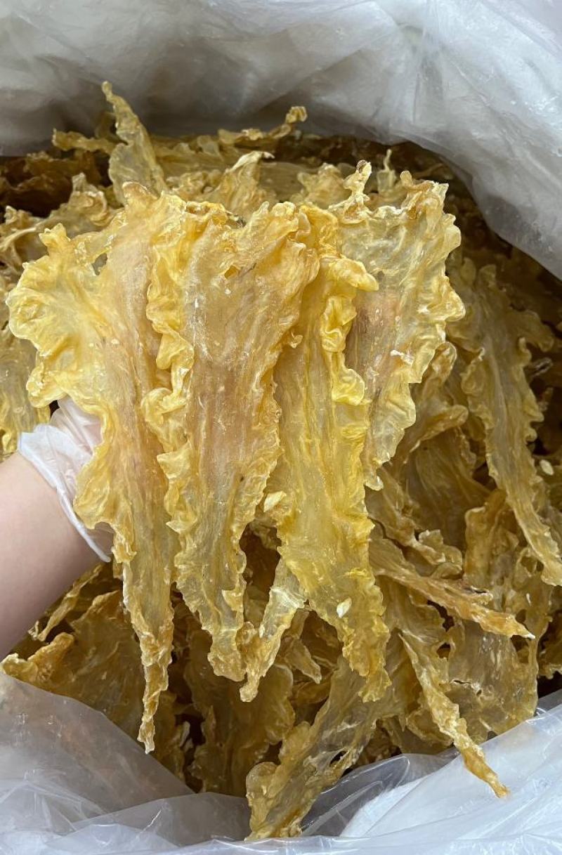 精品鳕鱼胶，足干货，食疗功效高，含有丰富的蛋白质