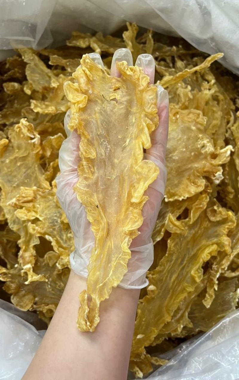 精品鳕鱼胶，足干货，食疗功效高，含有丰富的蛋白质