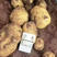 黄皮黄心土豆V7希森土豆3两通天供市场电商马铃薯