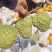 广西释迦果