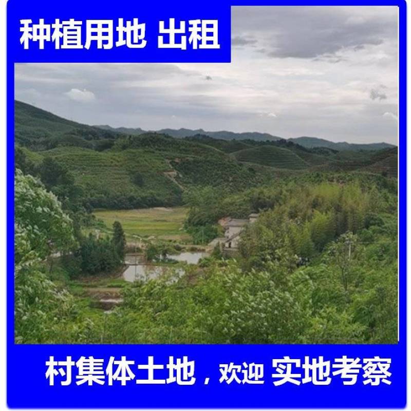 5000亩农村集体土地，山地，出租流转