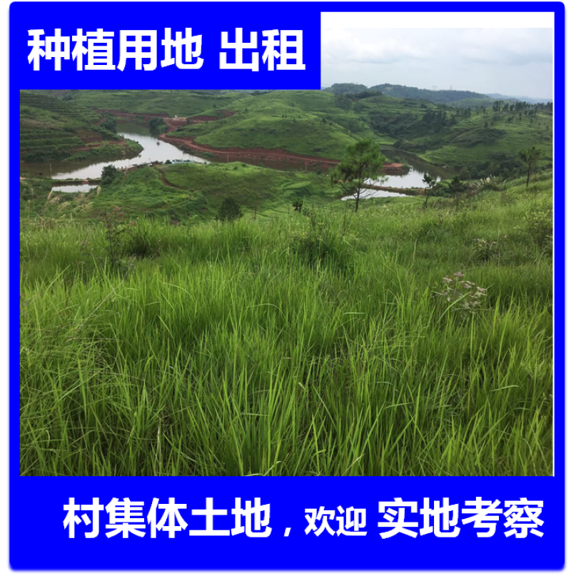 5000亩农村集体土地，山地，出租流转