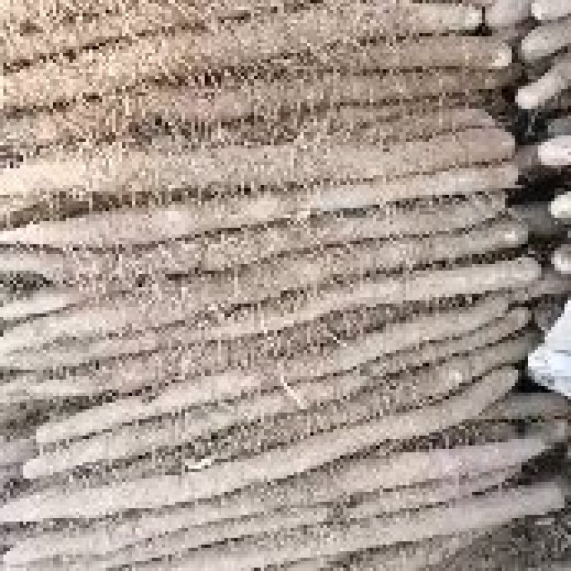 麻山药地头价直接出货可视频看货欢迎咨询