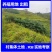 4500亩村委会集体土地，荒山，租流转