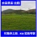 农村集体土地旱地，玉米地，高粱地，水稻田出租流转