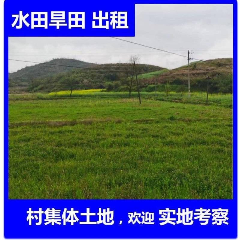 农村集体土地旱地，玉米地，高粱地，水稻田出租流转