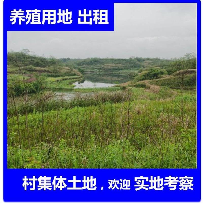 5000亩湖南村集体养殖地及种植地出租流转