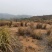 5000亩湖南村集体养殖地及种植地出租流转