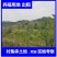 3868亩村委会集体养殖地，种植地出租流转