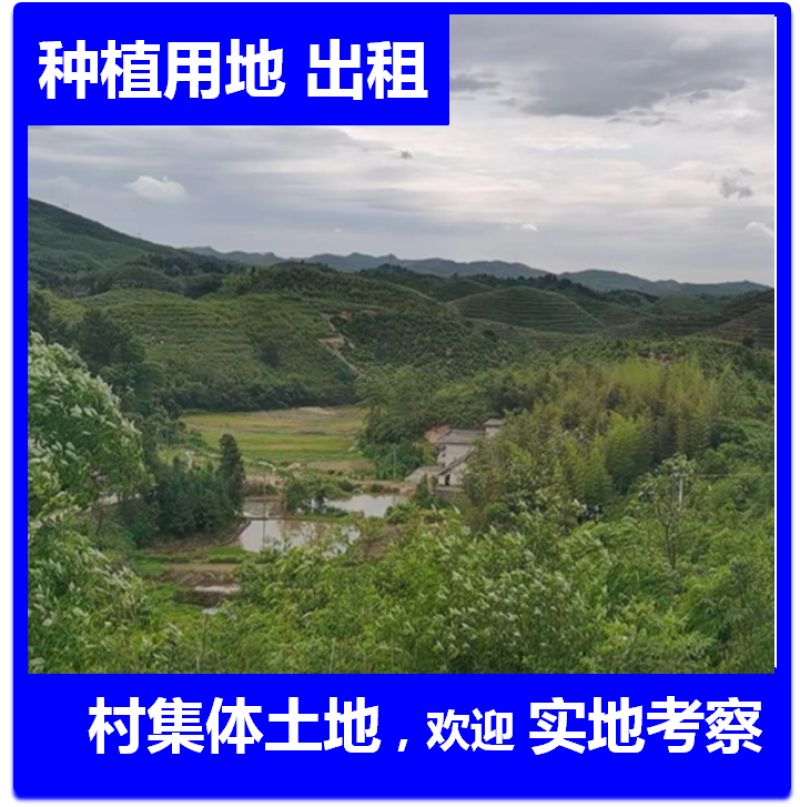 3868亩村委会集体养殖地，种植地出租流转