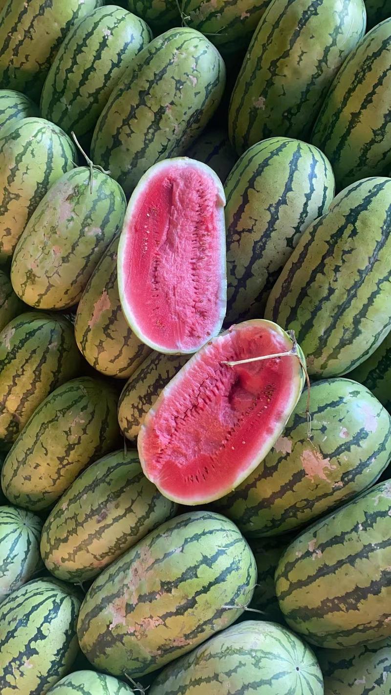 【实力】绿宝西瓜，优质货源，反季节西瓜，个头大，瓤口红