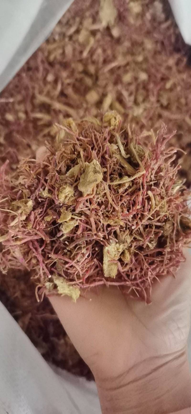 紫苑中药材紫苑1000克批发现货供应量大从优