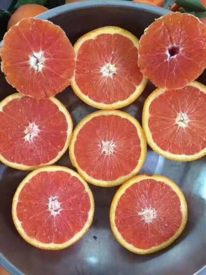 中华红橙，口感纯甜，水份充足，个头大，看园订货