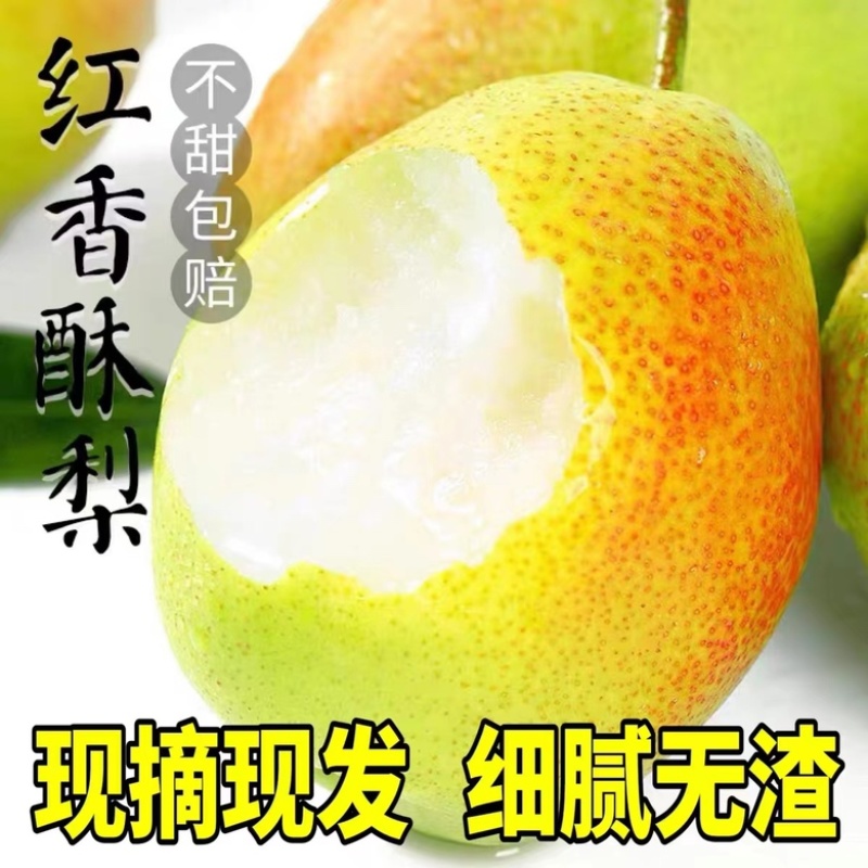 山西运城龙居一抹红晕果库红香酥梨现货供应