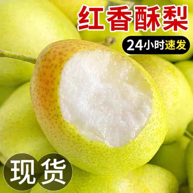 山西省运城市盐湖区龙居镇美玉村一抹红晕果库红香酥梨