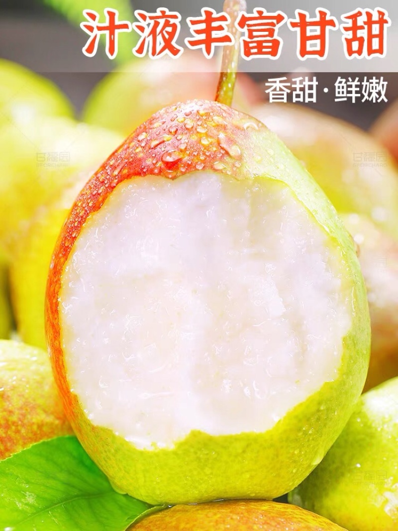 山西省运城市盐湖区龙居镇美玉村一抹红晕果库红香酥梨