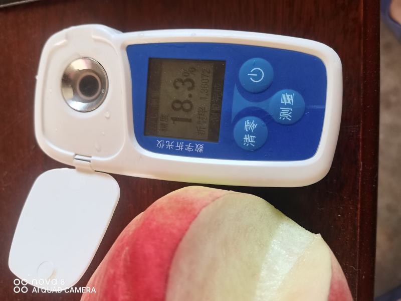成都龙泉水蜜桃之乡胭脂桃品质好欢迎采购