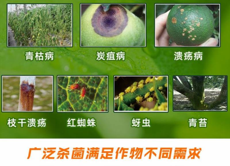 大蒜油杀菌剂杀虫剂助剂增效剂除青苔熏棚