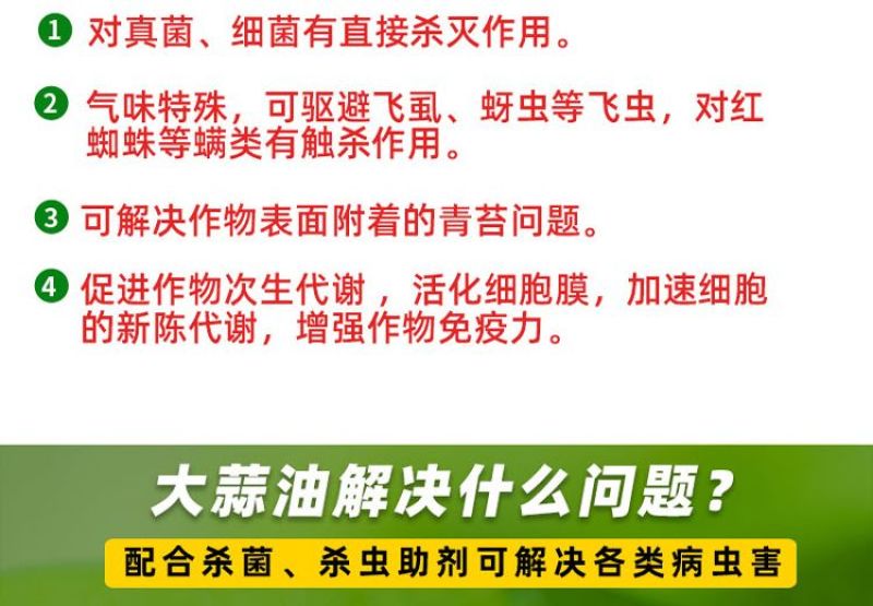 大蒜油杀菌剂杀虫剂助剂增效剂除青苔熏棚