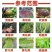 柠铜络氨铜柑橘溃疡病芒果角斑病番茄青枯病专用有机铜农药