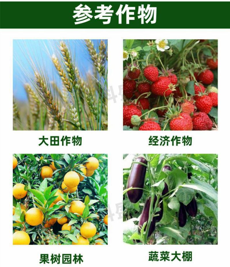 苦参碱蚜虫绿色有机专用农药杀虫剂