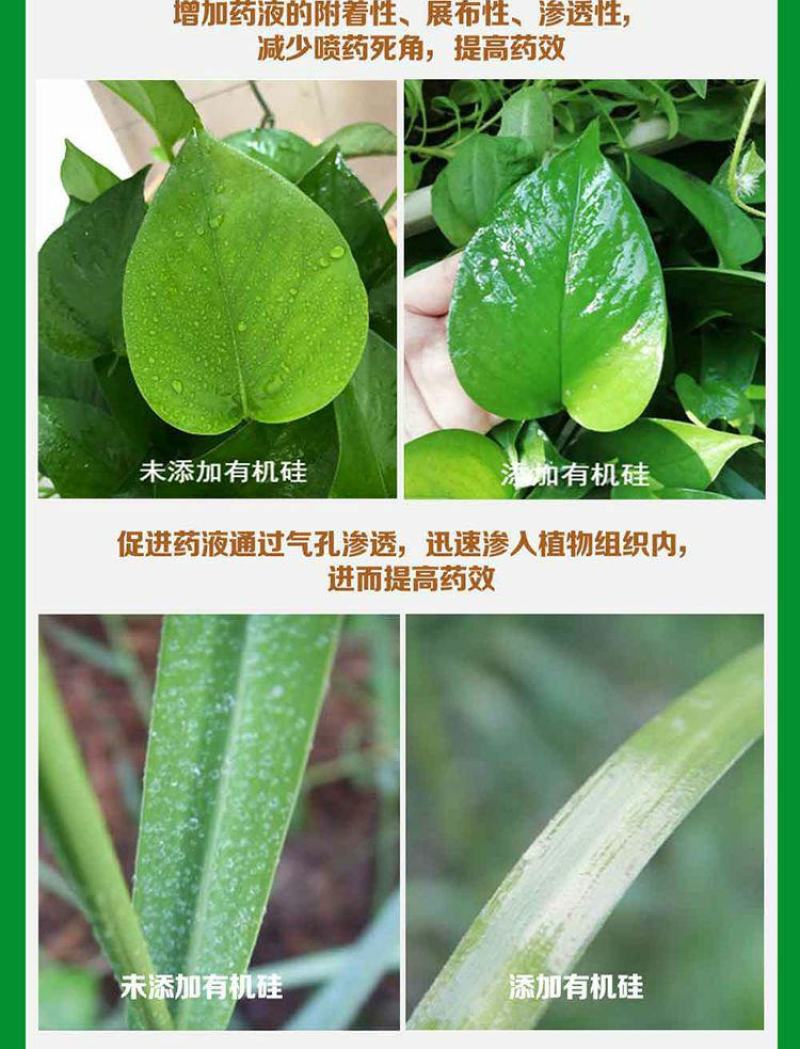 有机硅农用助剂增效剂杀菌剂杀虫剂果树蔬菜通用