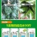 有机硅农用助剂增效剂杀菌剂杀虫剂果树蔬菜通用