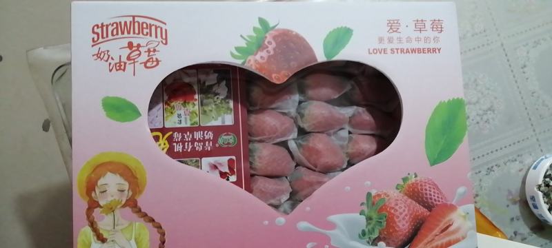 山东章姬甜宝套袋免洗奶油草莓