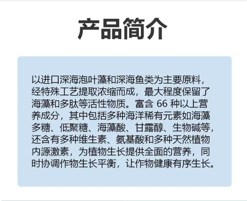 海藻精活化土壤提高肥效生根养根保花保果抗病抗逆