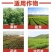 甲维虫螨腈果树蔬菜食心虫小菜蛾钻心虫菜青虫农药杀螨杀虫剂