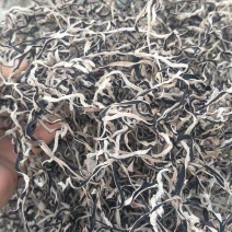 木耳丝白背黑木耳丝拉面木耳丝味千拉面阿香拉面丝