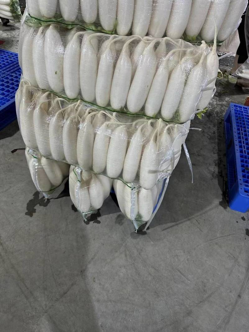 湖北荆门精品白萝卜，商超市场电商有货！保质保量欢迎电联