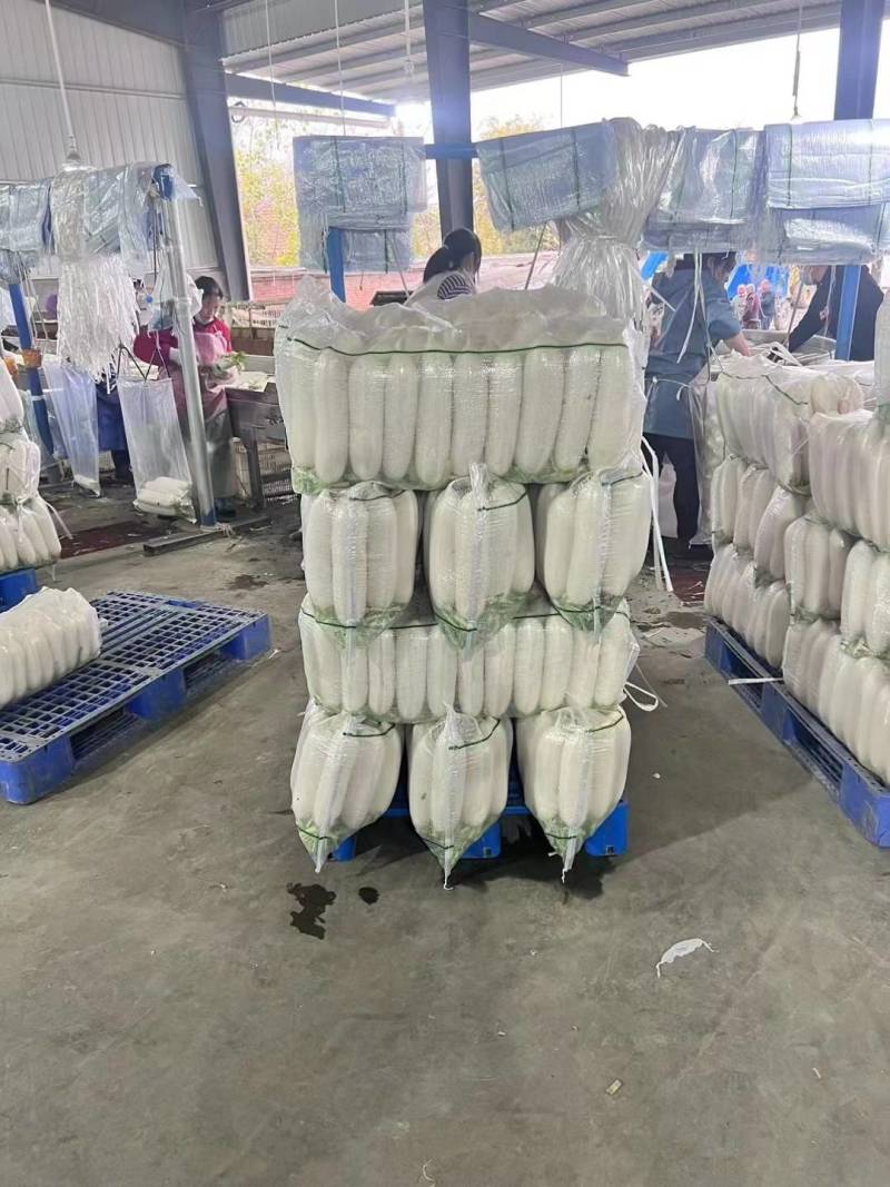 湖北荆门精品白萝卜，商超市场电商有货！保质保量欢迎电联