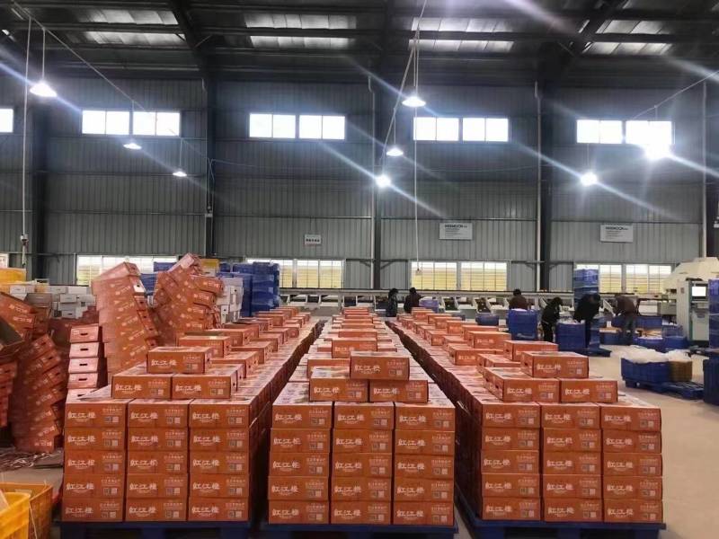 正宗红江橙廉江红江农场红江橙，量大从优