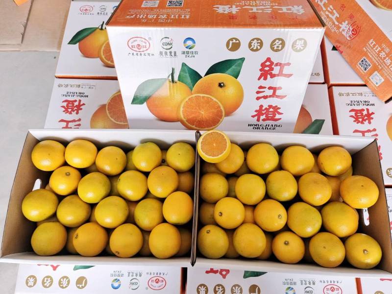 正宗红江橙廉江红江农场红江橙，量大从优