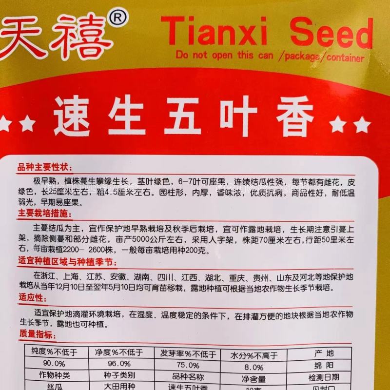 速生五叶香丝瓜种子特早熟优质抗病连续结瓜性强每节都有雌花