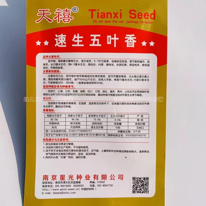 速生五叶香丝瓜种子特早熟优质抗病连续结瓜性强每节都有雌花